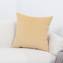 Charger l&#39;image dans la galerie, Coussin pour Sofa - Velours
