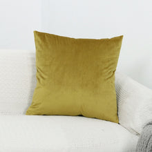 Charger l&#39;image dans la galerie, Coussin pour Sofa - Velours
